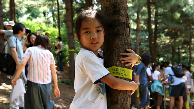 Forest Dancing